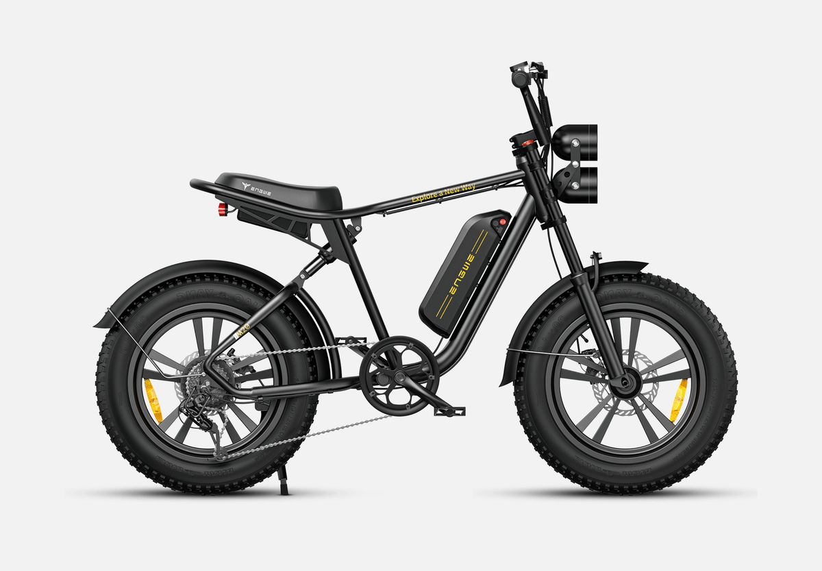 ENGWE M20