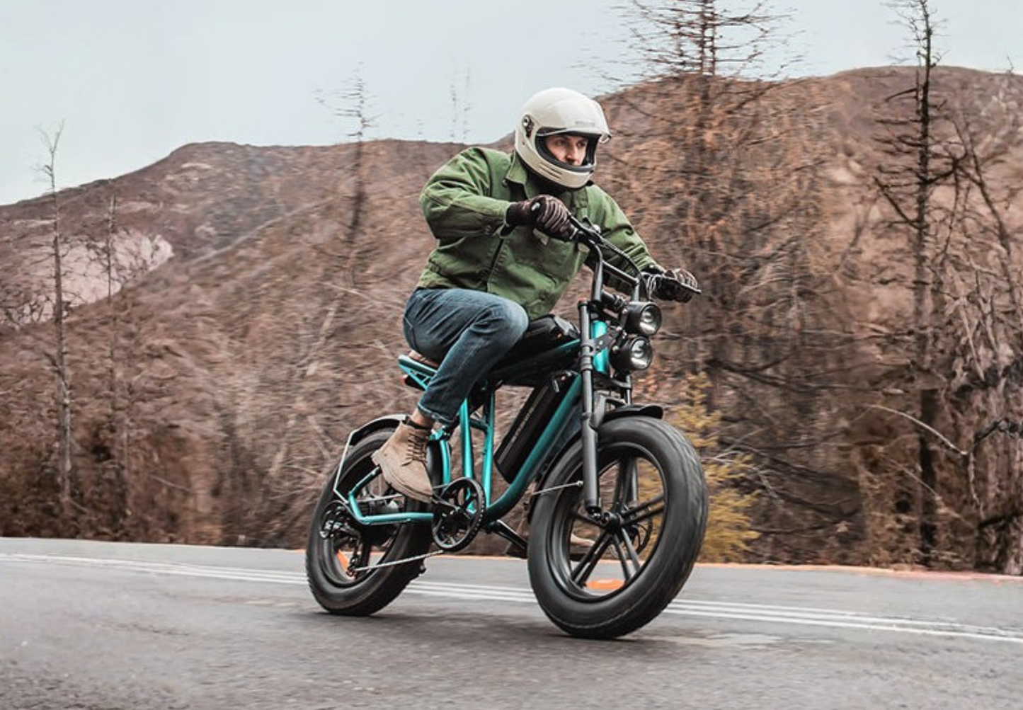ENGWE M20 Vélo électrique